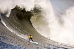 关于陈梦手感滚烫，带领新疆男篮鏖战北京国安，赛后一句话霸气侧漏的信息